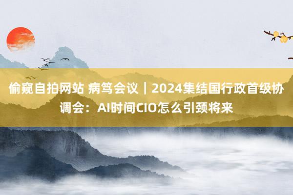 偷窥自拍网站 病笃会议｜2024集结国行政首级协调会：AI时间CIO怎么引颈将来