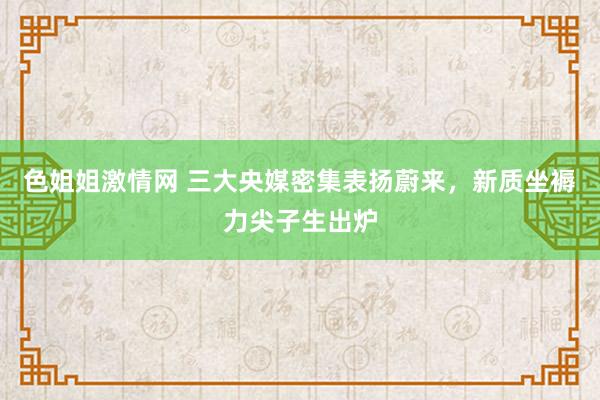 色姐姐激情网 三大央媒密集表扬蔚来，新质坐褥力尖子生出炉