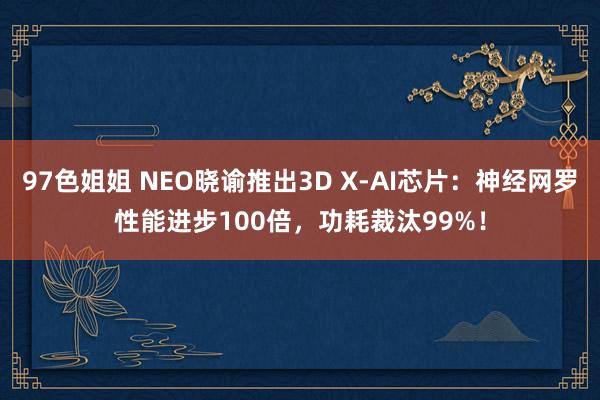 97色姐姐 NEO晓谕推出3D X-AI芯片：神经网罗性能进步100倍，功耗裁汰99%！