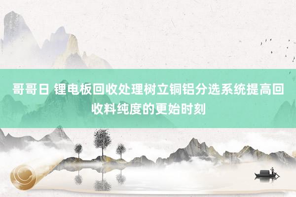 哥哥日 锂电板回收处理树立铜铝分选系统提高回收料纯度的更始时刻