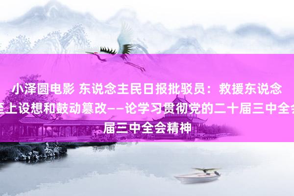 小泽圆电影 东说念主民日报批驳员：救援东说念主民至上设想和鼓动篡改——论学习贯彻党的二十届三中全会精神