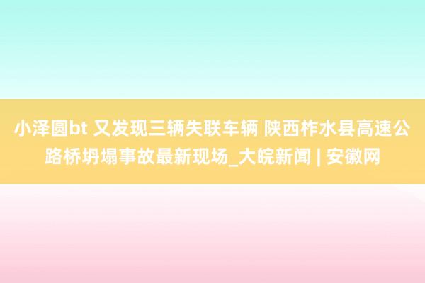 小泽圆bt 又发现三辆失联车辆 陕西柞水县高速公路桥坍塌事故最新现场_大皖新闻 | 安徽网