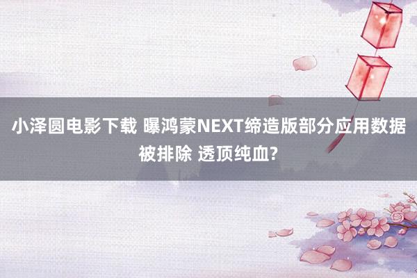 小泽圆电影下载 曝鸿蒙NEXT缔造版部分应用数据被排除 透顶纯血?