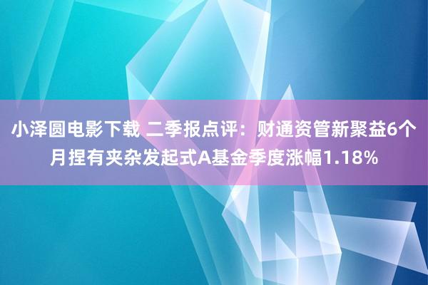 小泽圆电影下载 二季报点评：财通资管新聚益6个月捏有夹杂发起式A基金季度涨幅1.18%