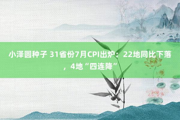 小泽圆种子 31省份7月CPI出炉：22地同比下落，4地“四连降”