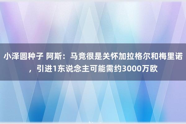 小泽圆种子 阿斯：马竞很是关怀加拉格尔和梅里诺，引进1东说念主可能需约3000万欧