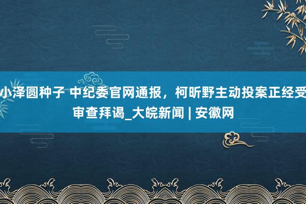 小泽圆种子 中纪委官网通报，柯昕野主动投案正经受审查拜谒_大皖新闻 | 安徽网