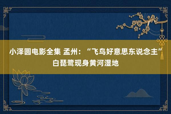 小泽圆电影全集 孟州：“飞鸟好意思东说念主”白琵鹭现身黄河湿地