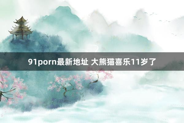 91porn最新地址 大熊猫喜乐11岁了