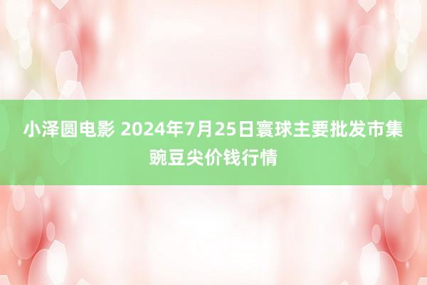 小泽圆电影 2024年7月25日寰球主要批发市集豌豆尖价钱行情