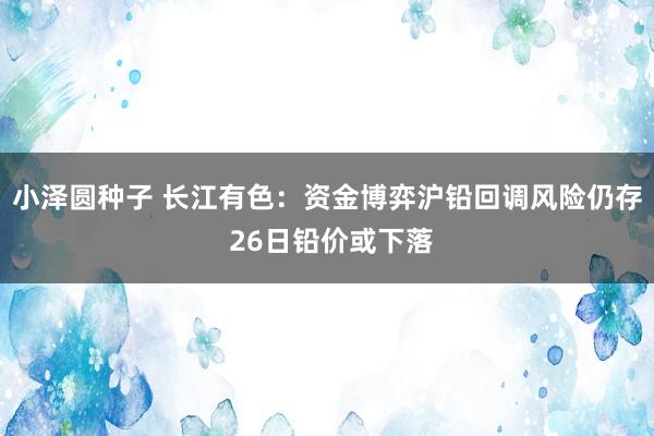 小泽圆种子 长江有色：资金博弈沪铅回调风险仍存 26日铅价或下落