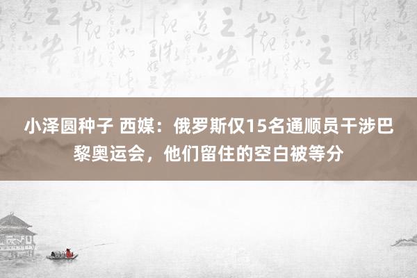 小泽圆种子 西媒：俄罗斯仅15名通顺员干涉巴黎奥运会，他们留住的空白被等分