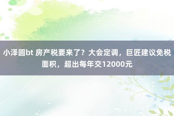 小泽圆bt 房产税要来了？大会定调，巨匠建议免税面积，超出每年交12000元