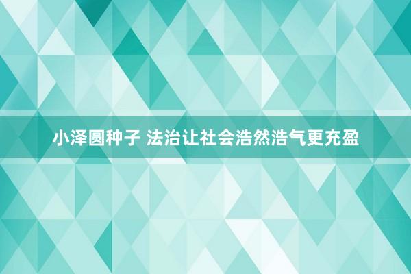 小泽圆种子 法治让社会浩然浩气更充盈