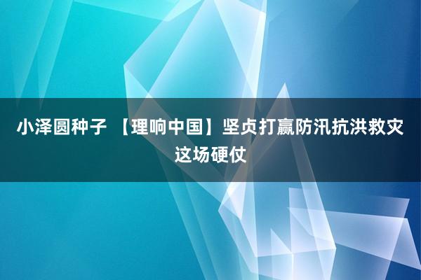 小泽圆种子 【理响中国】坚贞打赢防汛抗洪救灾这场硬仗