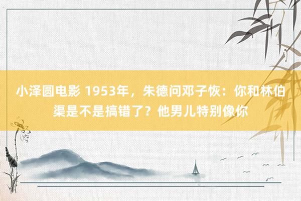 小泽圆电影 1953年，朱德问邓子恢：你和林伯渠是不是搞错了？他男儿特别像你