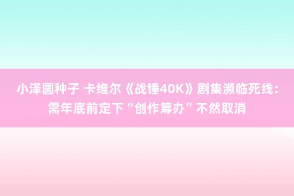 小泽圆种子 卡维尔《战锤40K》剧集濒临死线：需年底前定下“创作筹办”不然取消