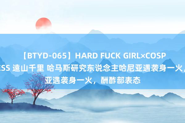 【BTYD-065】HARD FUCK GIRL×COSPLAY PRINCESS 遠山千里 哈马斯研究东说念主哈尼亚遇袭身一火，酬酢部表态