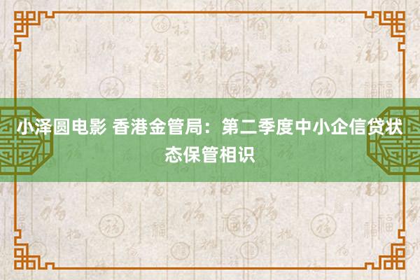 小泽圆电影 香港金管局：第二季度中小企信贷状态保管相识