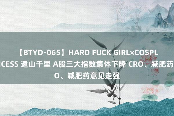 【BTYD-065】HARD FUCK GIRL×COSPLAY PRINCESS 遠山千里 A股三大指数集体下降 CRO、减肥药意见走强