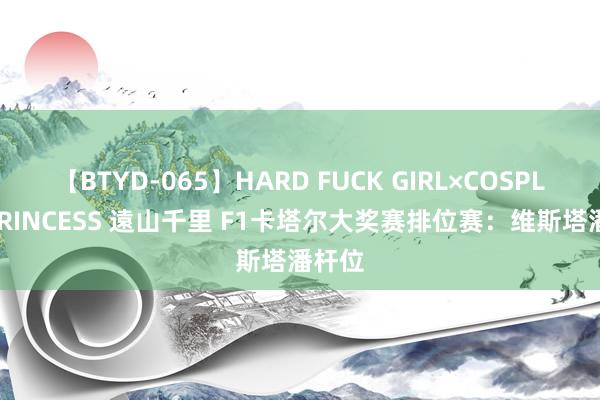 【BTYD-065】HARD FUCK GIRL×COSPLAY PRINCESS 遠山千里 F1卡塔尔大奖赛排位赛：维斯塔潘杆位