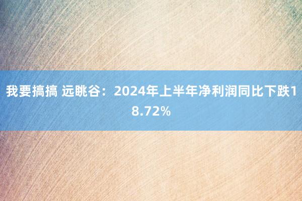 我要搞搞 远眺谷：2024年上半年净利润同比下跌18.72%