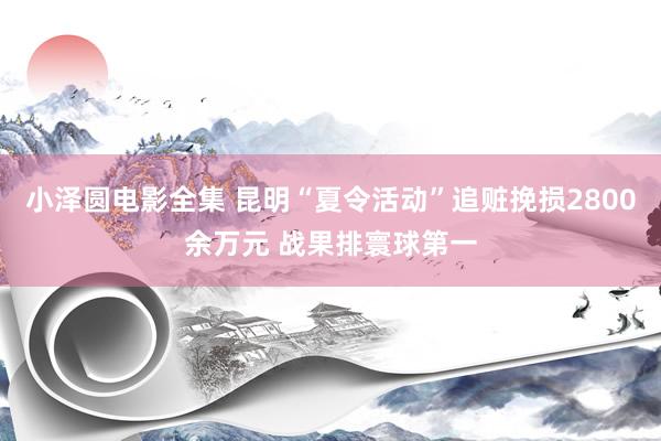 小泽圆电影全集 昆明“夏令活动”追赃挽损2800余万元 战果排寰球第一