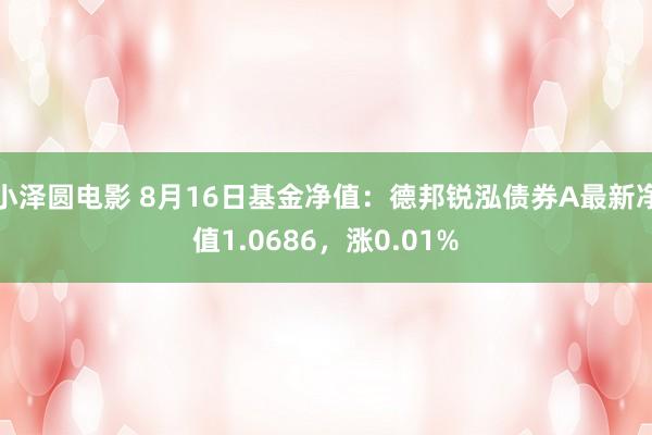 小泽圆电影 8月16日基金净值：德邦锐泓债券A最新净值1.0686，涨0.01%