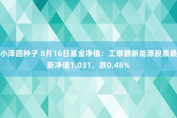 小泽圆种子 8月16日基金净值：工银翻新能源股票最新净值1.031，跌0.48%