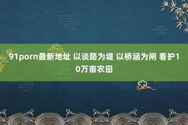 91porn最新地址 以谈路为堤 以桥涵为闸 看护10万亩农田