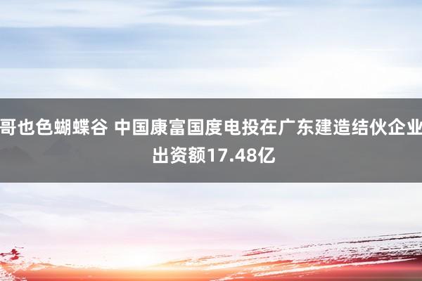 哥也色蝴蝶谷 中国康富国度电投在广东建造结伙企业 出资额17.48亿