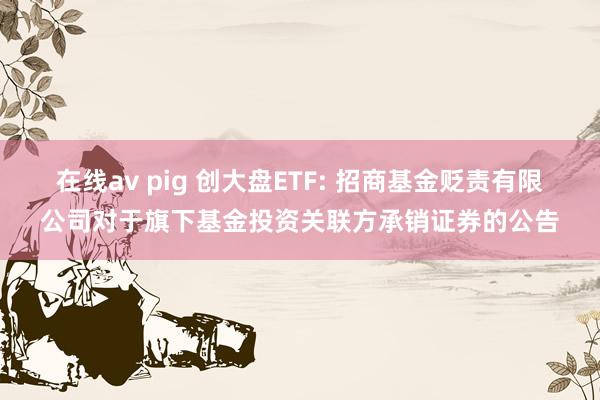 在线av pig 创大盘ETF: 招商基金贬责有限公司对于旗下基金投资关联方承销证券的公告