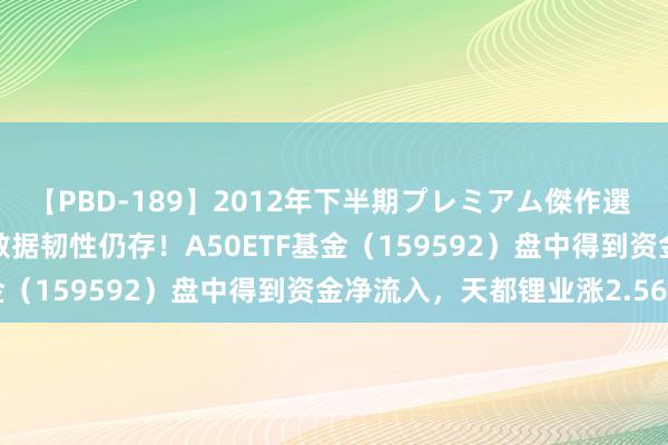 【PBD-189】2012年下半期プレミアム傑作選 ETF盘后资讯|中国经济数据韧性仍存！A50ETF基金（159592）盘中得到资金净流入，天都锂业涨2.56%