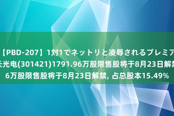 【PBD-207】1対1でネットリと凌辱されるプレミア女優たち 8時間 波长光电(301421)1791.96万股限售股将于8月23日解禁， 占总股本15.49%