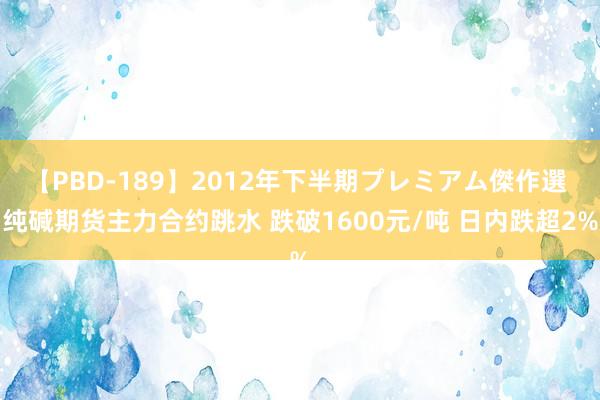 【PBD-189】2012年下半期プレミアム傑作選 纯碱期货主力合约跳水 跌破1600元/吨 日内跌超2%