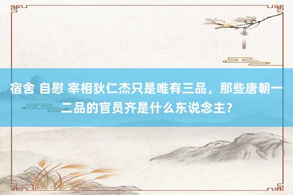 宿舍 自慰 宰相狄仁杰只是唯有三品，那些唐朝一二品的官员齐是什么东说念主？