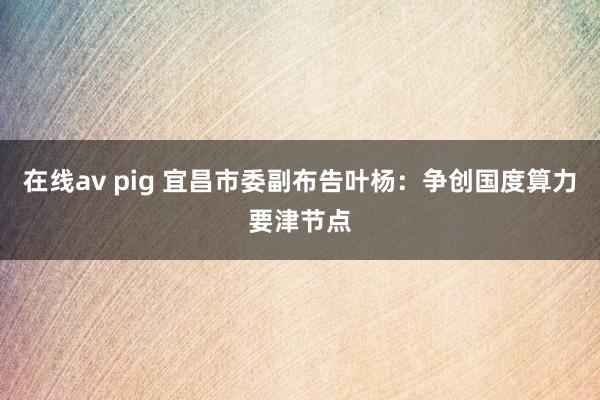 在线av pig 宜昌市委副布告叶杨：争创国度算力要津节点