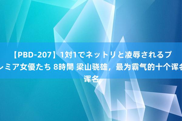 【PBD-207】1対1でネットリと凌辱されるプレミア女優たち 8時間 梁山骁雄，最为霸气的十个诨名