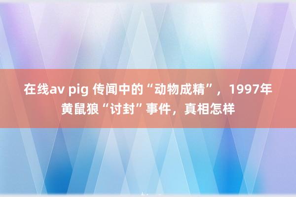 在线av pig 传闻中的“动物成精”，1997年黄鼠狼“讨封”事件，真相怎样