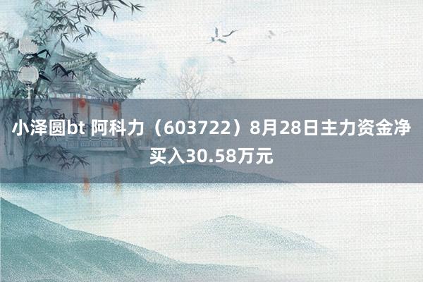 小泽圆bt 阿科力（603722）8月28日主力资金净买入30.58万元