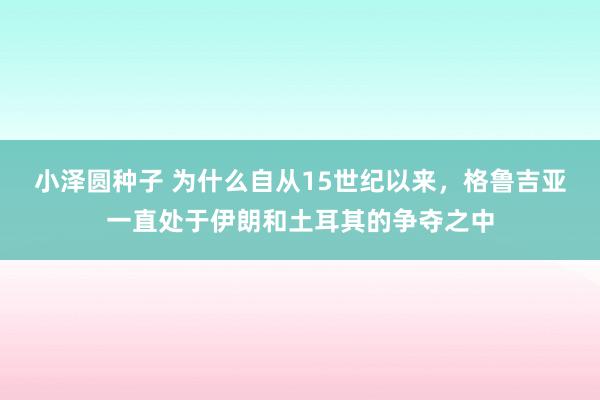 小泽圆种子 为什么自从15世纪以来，格鲁吉亚一直处于伊朗和土耳其的争夺之中