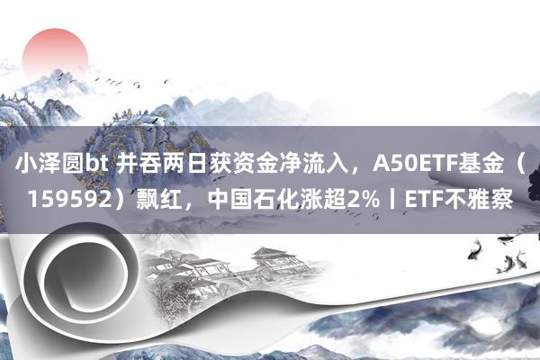 小泽圆bt 并吞两日获资金净流入，A50ETF基金（159592）飘红，中国石化涨超2%丨ETF不雅察