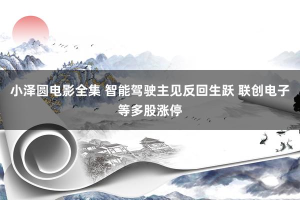 小泽圆电影全集 智能驾驶主见反回生跃 联创电子等多股涨停