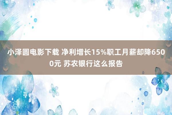 小泽圆电影下载 净利增长15%职工月薪却降6500元 苏农银行这么报告