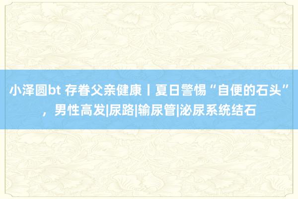 小泽圆bt 存眷父亲健康丨夏日警惕“自便的石头”，男性高发|尿路|输尿管|泌尿系统结石