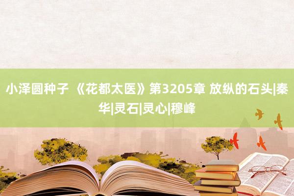 小泽圆种子 《花都太医》第3205章 放纵的石头|秦华|灵石|灵心|穆峰