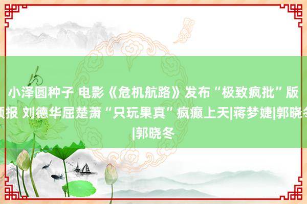 小泽圆种子 电影《危机航路》发布“极致疯批”版预报 刘德华屈楚萧“只玩果真”疯癫上天|蒋梦婕|郭晓冬