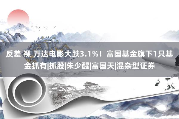 反差 裸 万达电影大跌3.1%！富国基金旗下1只基金抓有|抓股|朱少醒|富国天|混杂型证券