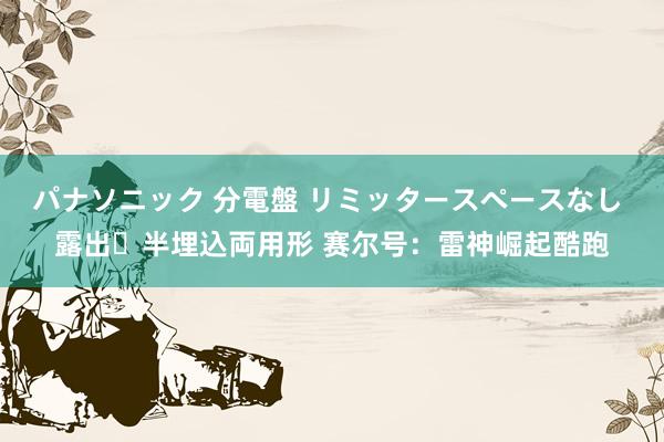 パナソニック 分電盤 リミッタースペースなし 露出・半埋込両用形 赛尔号：雷神崛起酷跑