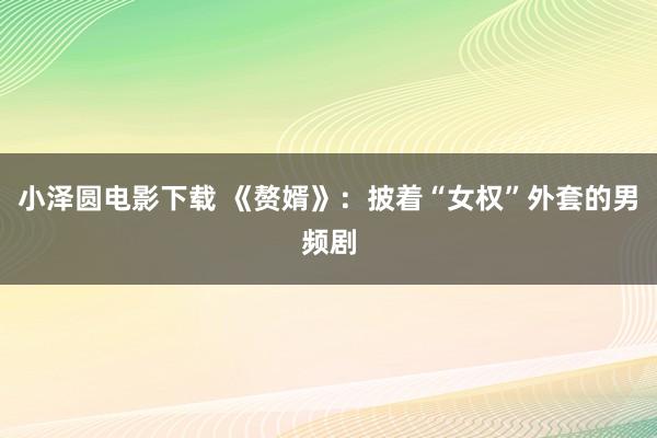 小泽圆电影下载 《赘婿》：披着“女权”外套的男频剧